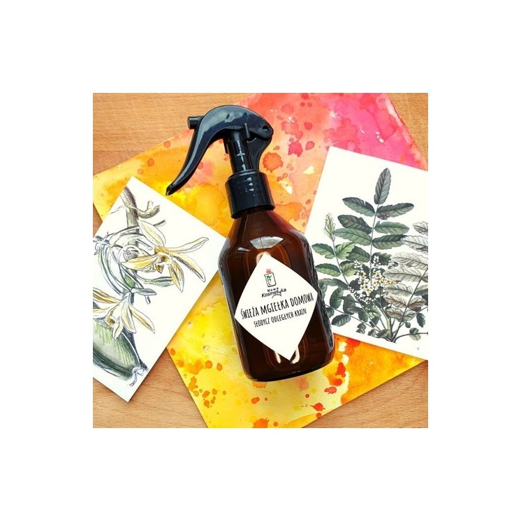 Nowa Kosmetyka Home Mist "Gin en Tonic" 150 ml