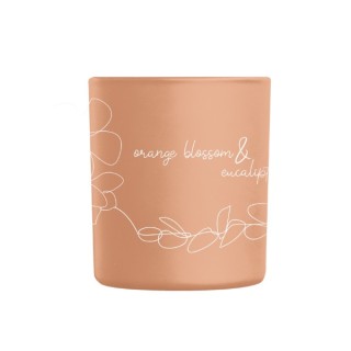 Aroma Home One Line Combo Orangenblüte mit Eukalyptus-Duftkerze 160 g