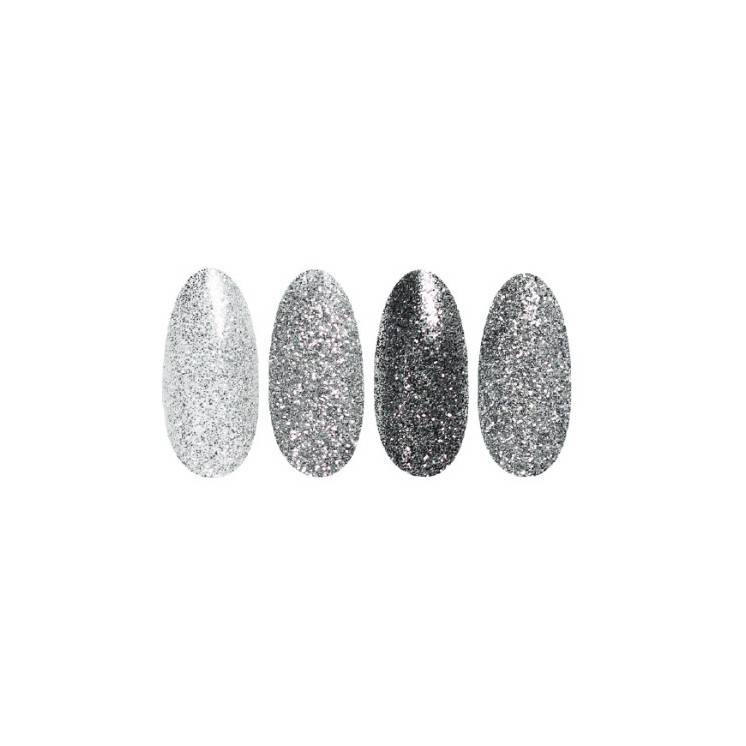 Ronney Glitter nail powder /37/ Silver