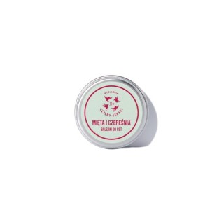 Mydlarnia Cztery Szpaki Lippenbalsam Minze und Kirsche 15 ml