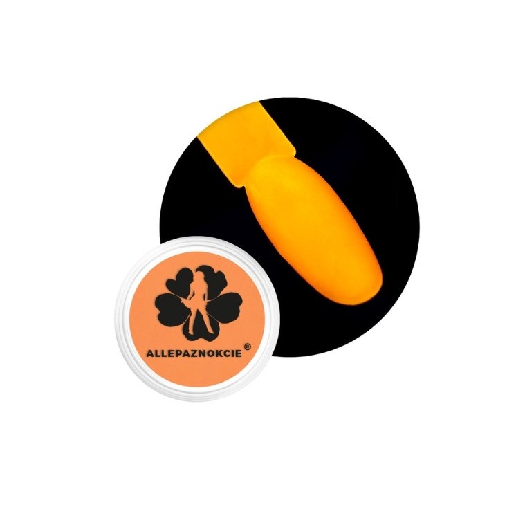 Allepaznokcie Neon UV Nagelpulver /04/ 0,06 g