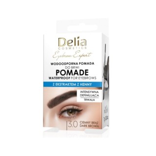 Delia Eyebrow Pomade /3.0/ Dark Brown 7g