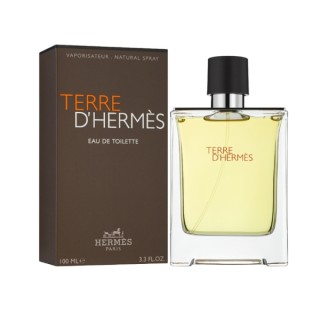 Hermes Terre D'Hermes Eau de Toilette voor Mannen 100 ml