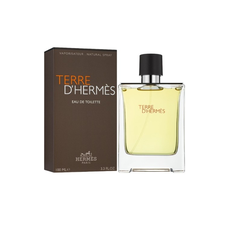 Hermes Terre D'Hermes Eau de Toilette für Männer 100 ml