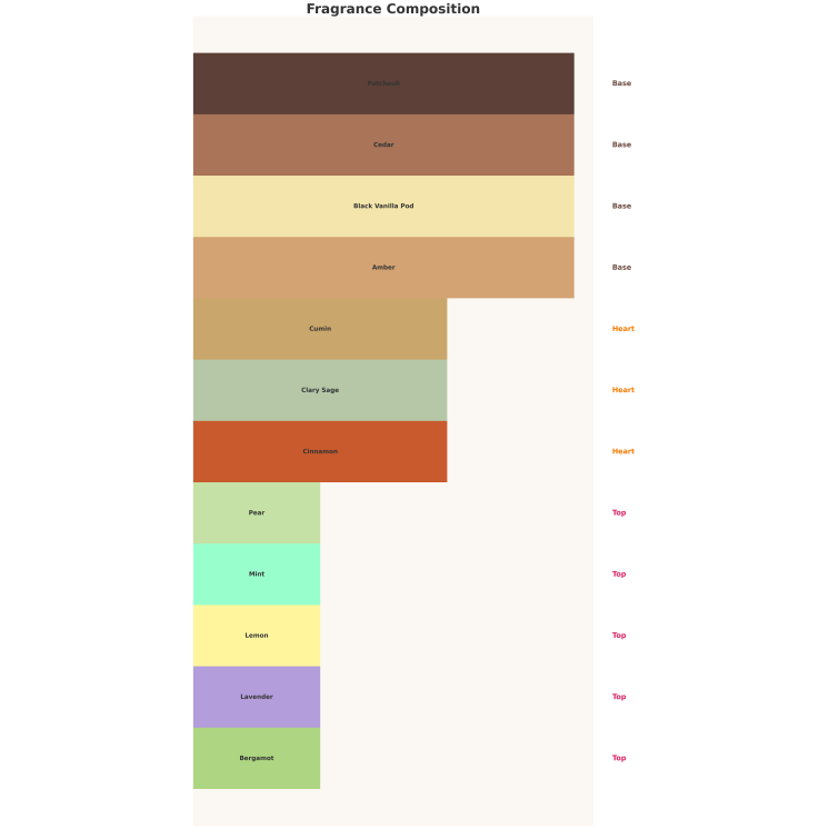 Emir Atomise Intensive Men Eau de Parfum pour homme 100 ml