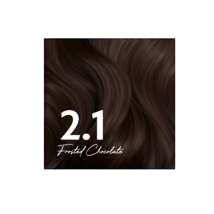 Stars from the Stars Haarkleuring /2.1/ Frosted Chocolate 1 stuk.