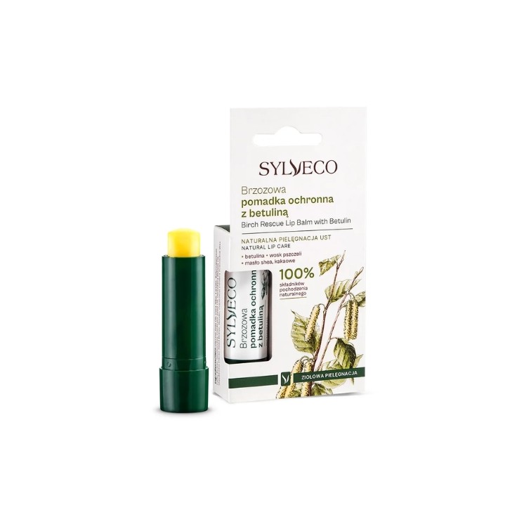 Rouge à lèvres protecteur Sylveco Birch à la bétuline 4,6 g