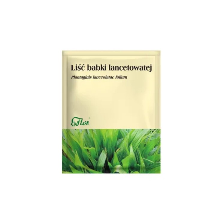 Flos Ribwort, feuilles de plantain, herbes pour infusion 50 g