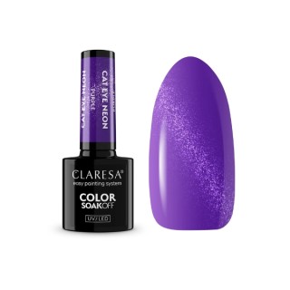 Vernis à ongles hybride néon Cat Eye Claresa Purple 5